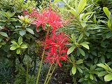 img_200930090201.jpg