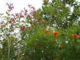 img_200930090216.jpg