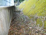 img_200930090219.jpg