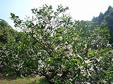 img_200930094634.jpg