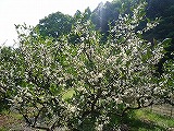 img_200930094725.jpg
