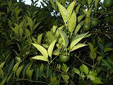 img_200930094754.jpg