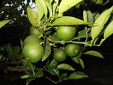 img_200930094826.jpg