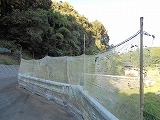 img_200930095632.jpg