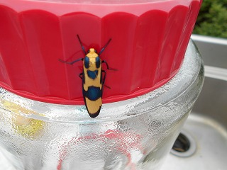 img_200930100721.jpg