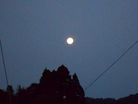 img_201031093415.jpg