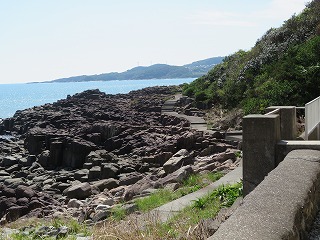 img_201031100526.jpg