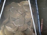 img_201031100807.jpg
