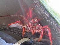 img_201031100821.jpg