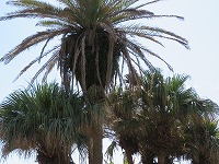 img_201031100848.jpg
