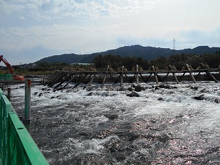 img_201031105830.jpg