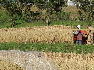 img_201031110906.jpg