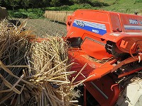 img_201031111140.jpg