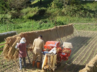 img_201031111234.jpg