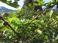 img_201031111913.jpg