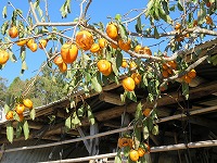 img_201031111933.jpg
