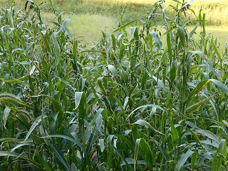 img_201031124501.jpg
