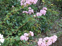 img_201031124602.jpg