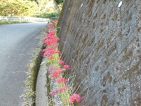 img_201031124623.jpg