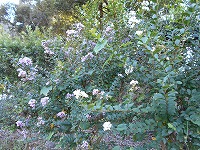 img_201031124650.jpg
