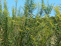 img_201031124707.jpg