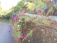img_201031124735.jpg