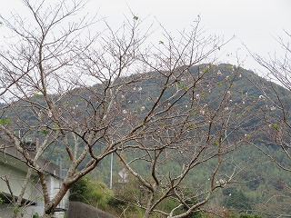 img_201031124805.jpg