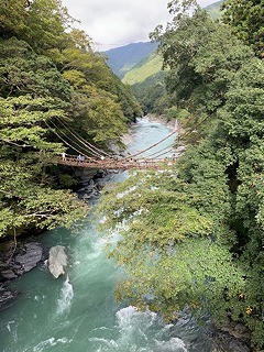 img_201031124808.jpg