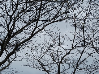 img_201031124824.jpg