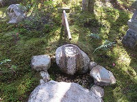 img_201130102351.jpg