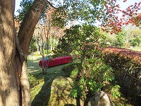 img_201130102419.jpg