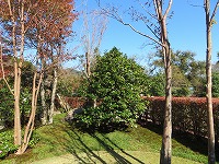 img_201130103248.jpg