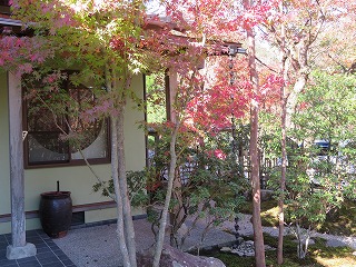 img_201130103354.jpg