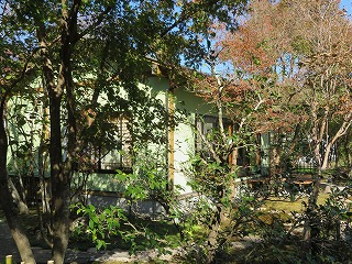 img_201130142522.jpg