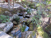 img_201130142655.jpg