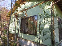 img_201130142735.jpg
