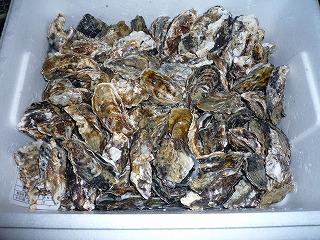 img_201231095024.jpg