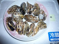 img_201231095053.jpg