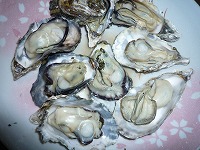 img_201231095120.jpg