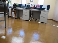 img_201231132523.jpg