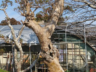 img_210131090624.jpg