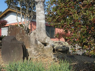 img_210131090646.jpg
