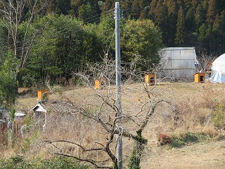 img_210131090706.jpg