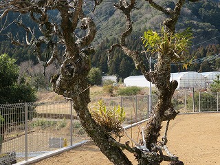 img_210131090722.jpg