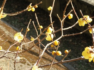img_210131095814.jpg