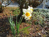 img_210131095912.jpg