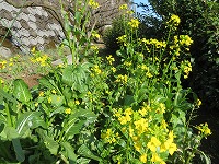 img_210131095931.jpg