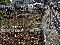 img_210131100029.jpg