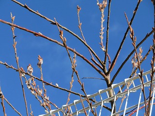 img_210131100118.jpg