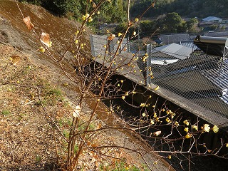 img_210131100507.jpg